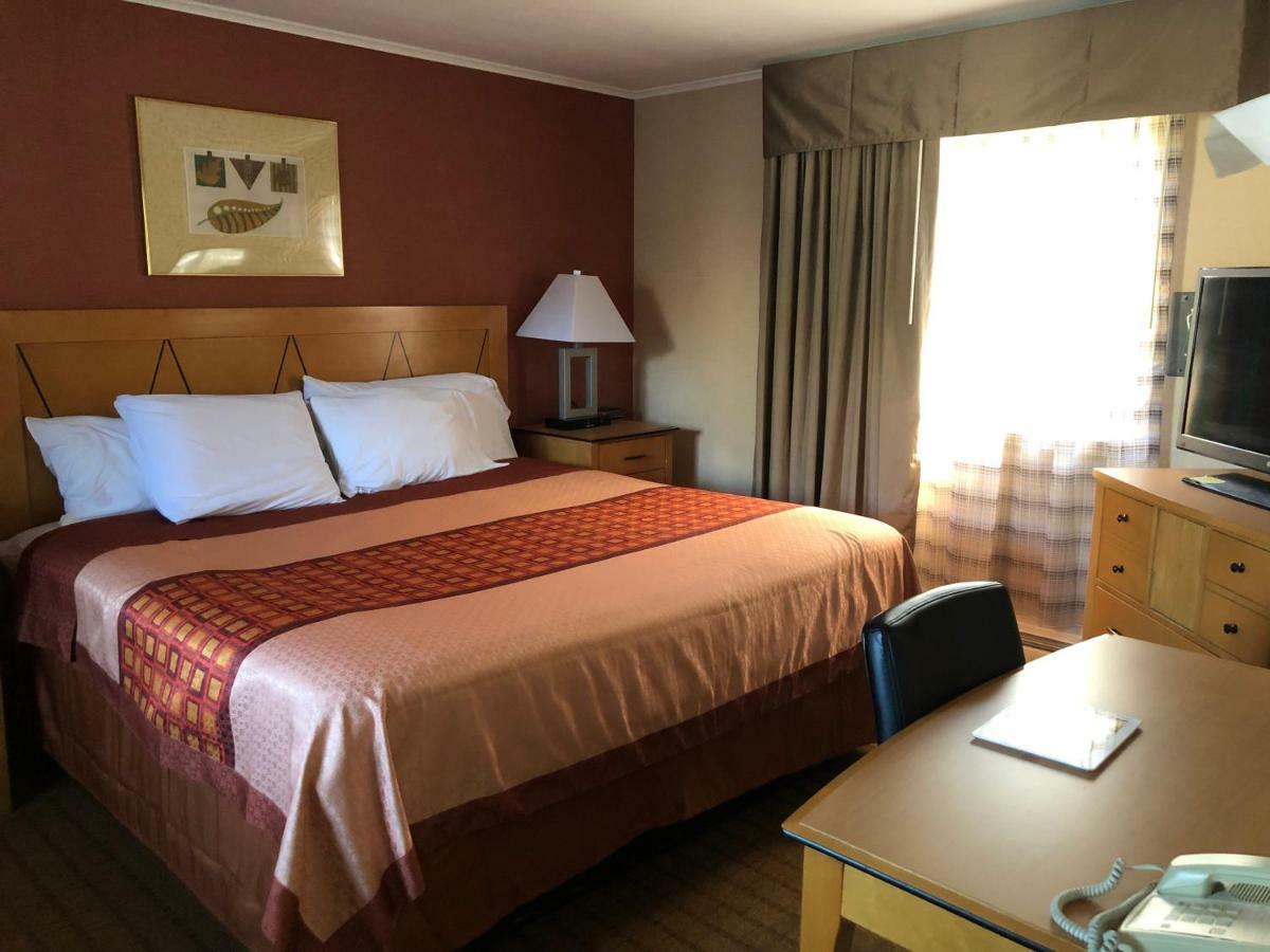 Wilbraham Inn Ludlow Esterno foto